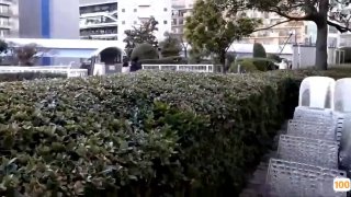 卢克天行者